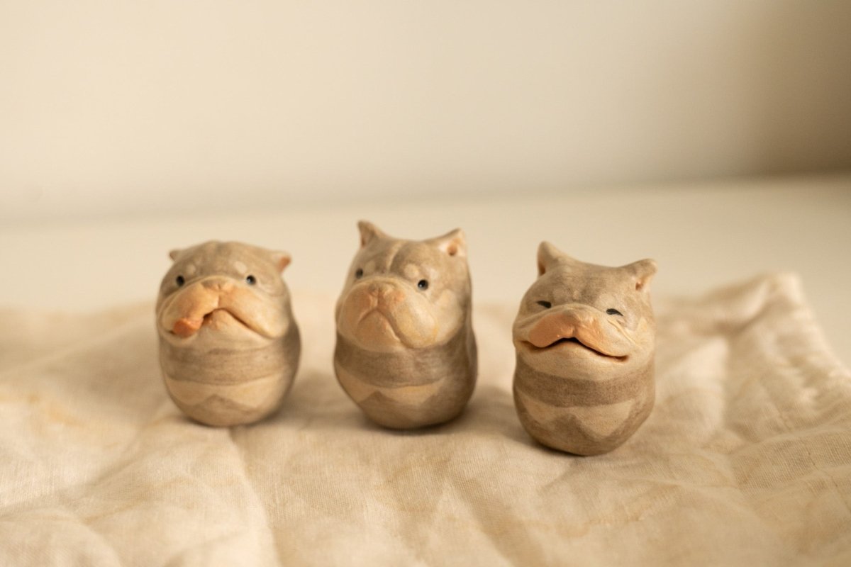 Expressive Trio Doggo Set - Pawttery