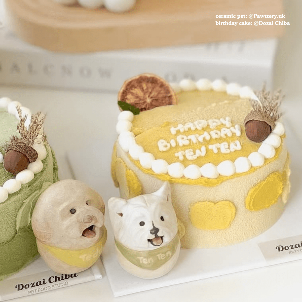 Expressive Trio Doggo Set - Pawttery