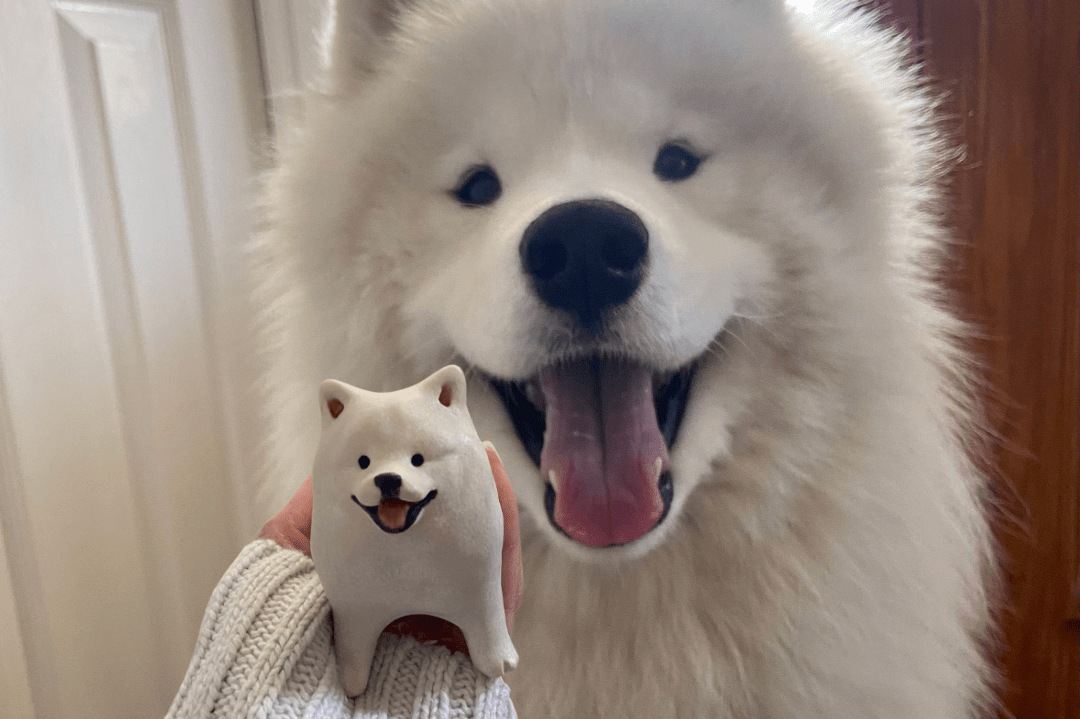Mini Me Trio – 3 Custom Ceramic Pets - Pawttery