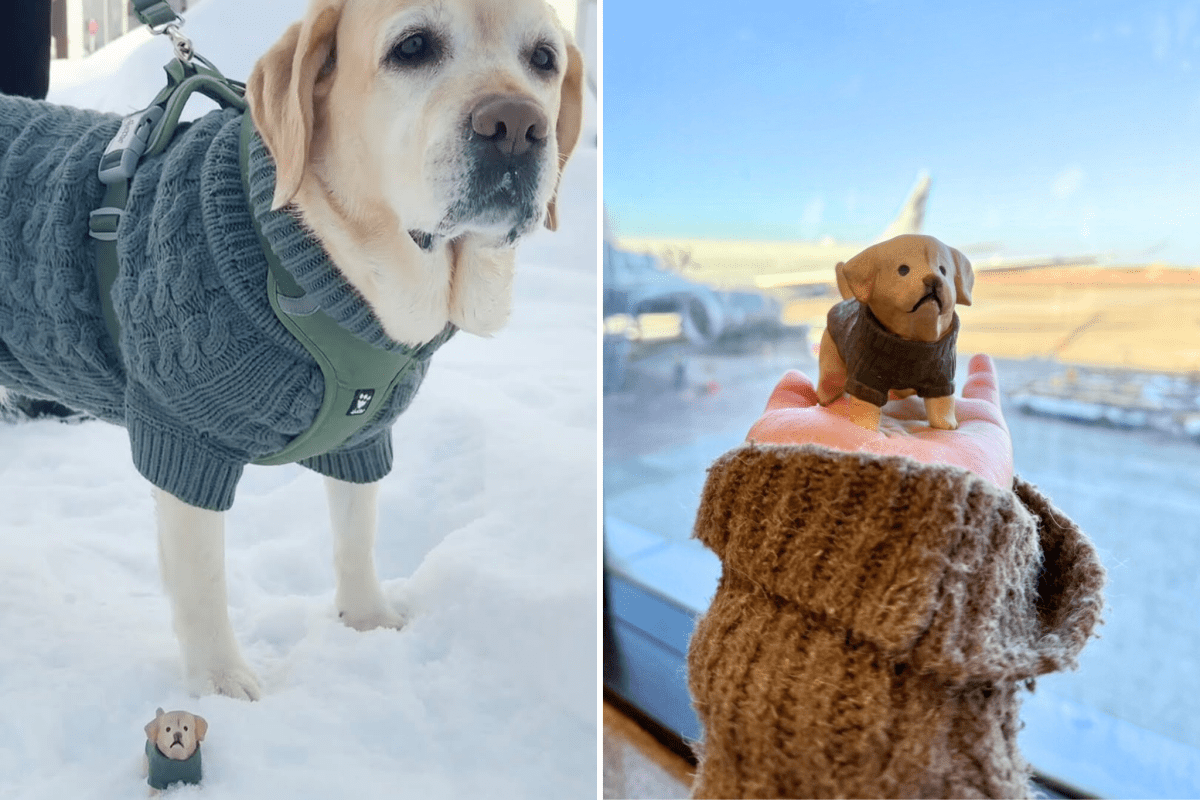 Mini Me Trio – 3 Custom Ceramic Pets - Pawttery
