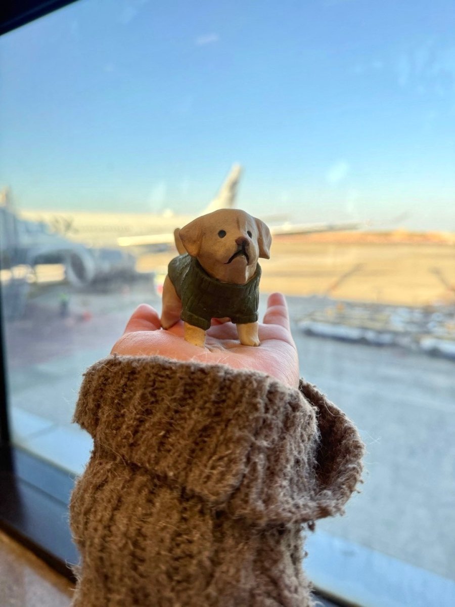 Small dog figurine in a green sweater held by a person with an airport background