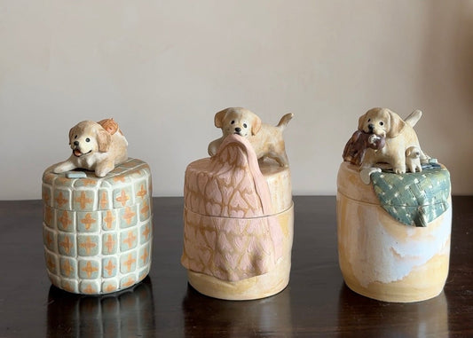 Yearly Keepsake Jars: A Beautiful Way to Treasure Your Pet’s Memories - Pawttery