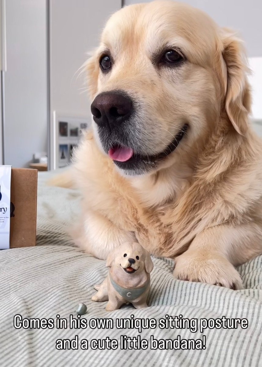 @coopersjournal - Pawttery