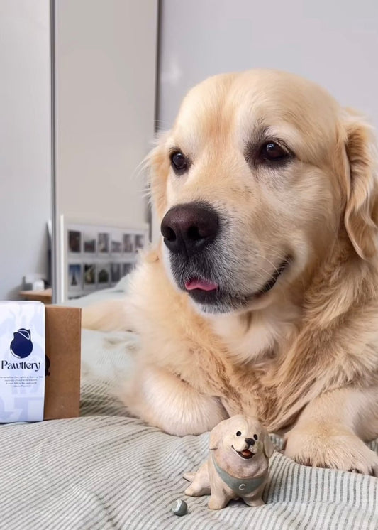 @coopersjournal 🇬🇧 - Pawttery