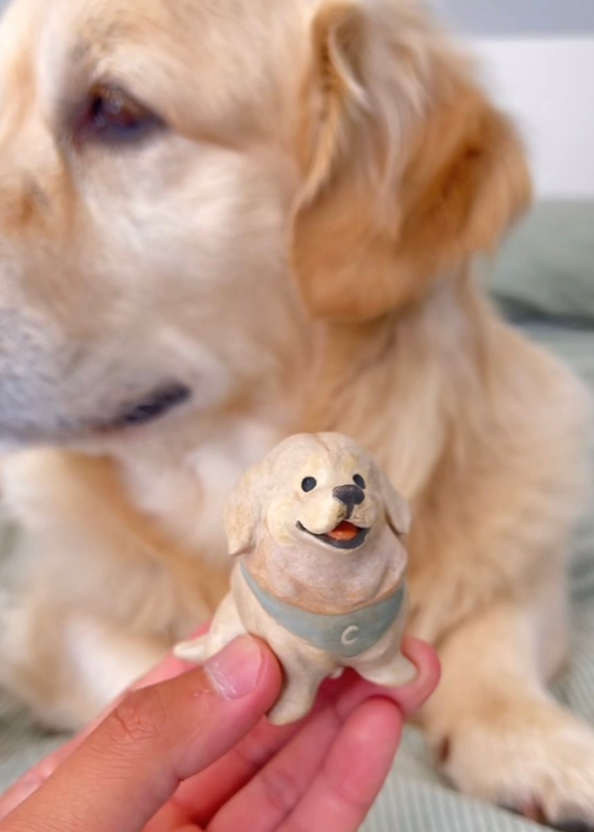 @coopersjournal - Pawttery