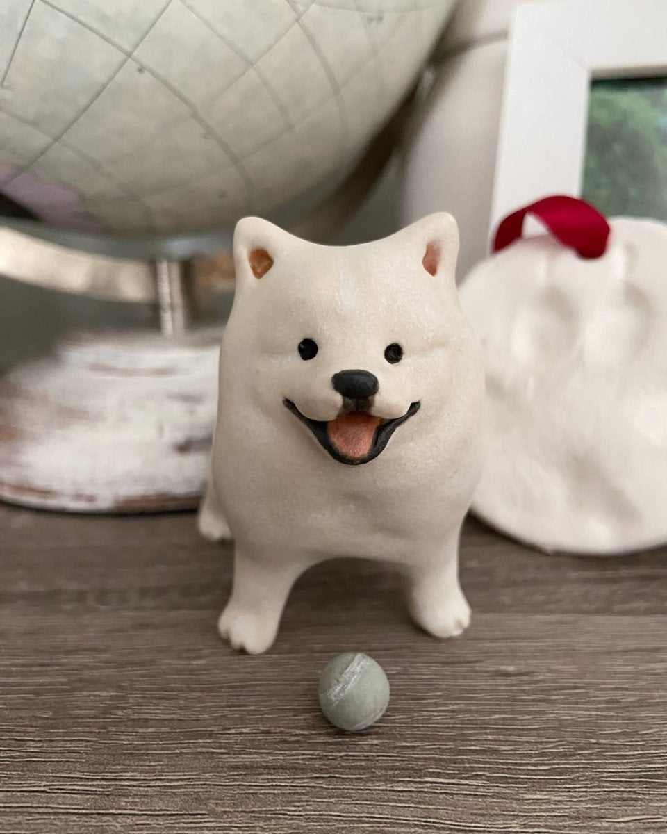 @kingkaithesamoyed - Pawttery