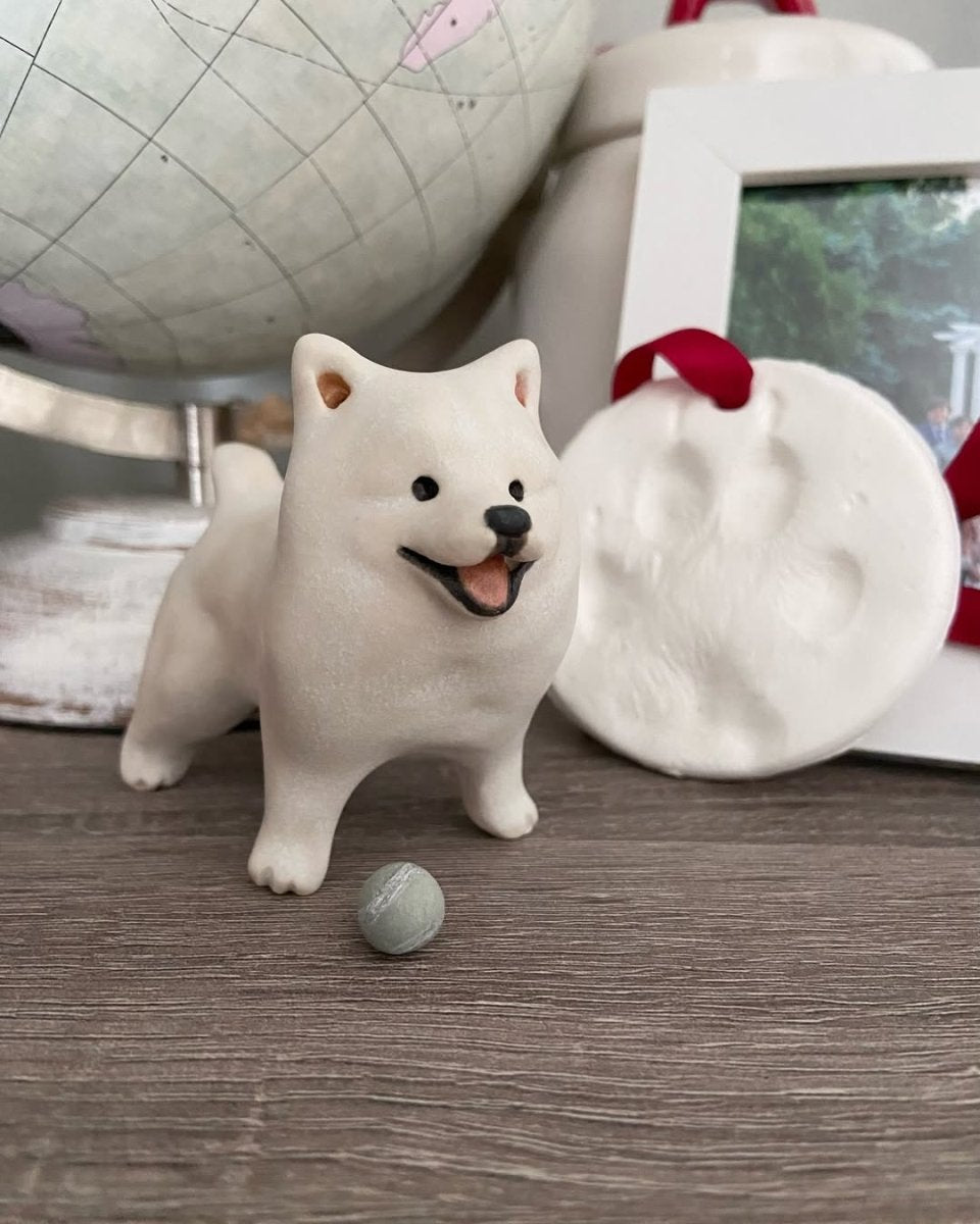 @kingkaithesamoyed - Pawttery
