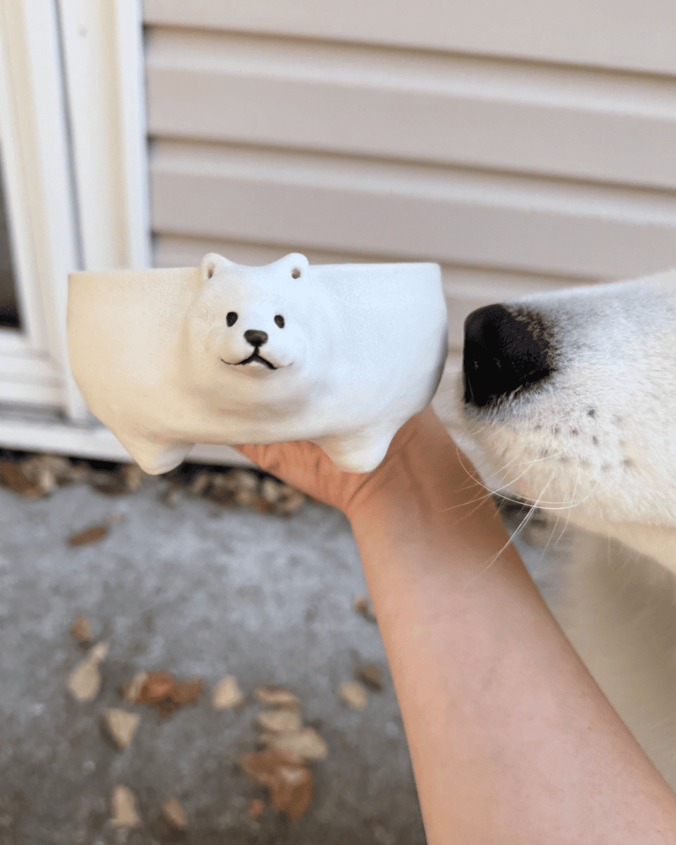 @kingkaithesamoyed (bowl) - Pawttery