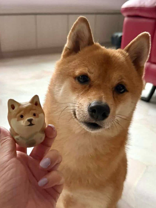 @ohayo.mochi 🇸🇬 - Pawttery