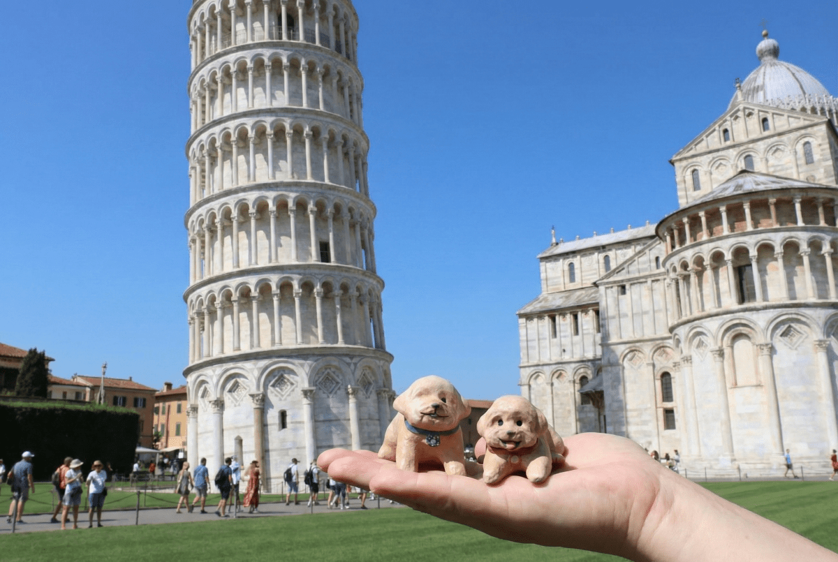 @Poodle_pocky 🇹🇼 - Pawttery