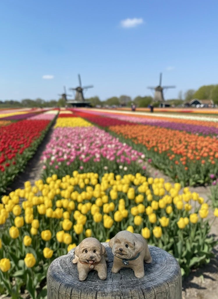 @Poodle_pocky 🇹🇼 - Pawttery