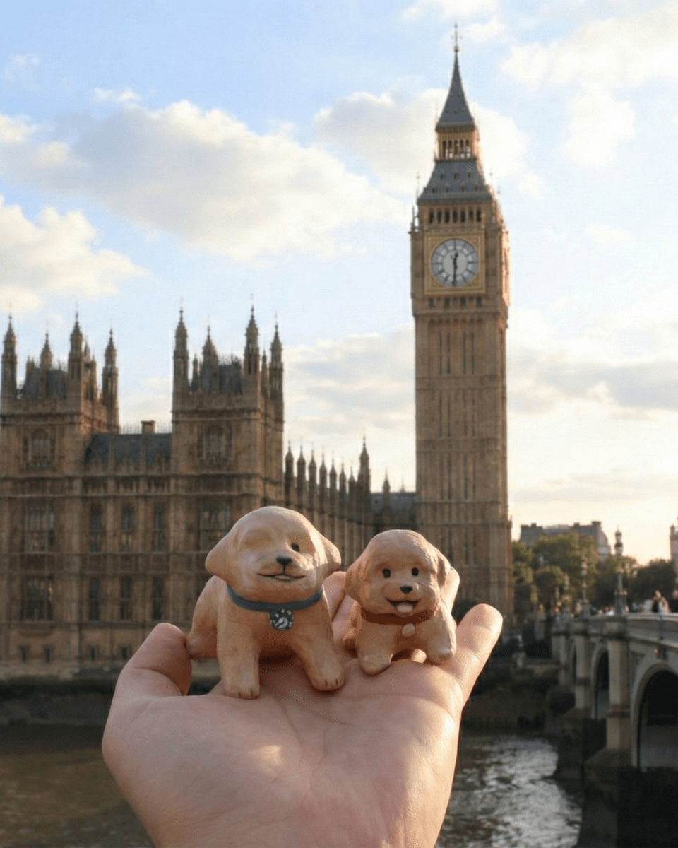 @Poodle_pocky 🇹🇼 - Pawttery