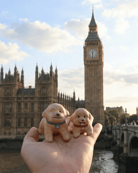 @Poodle_pocky 🇹🇼 - Pawttery