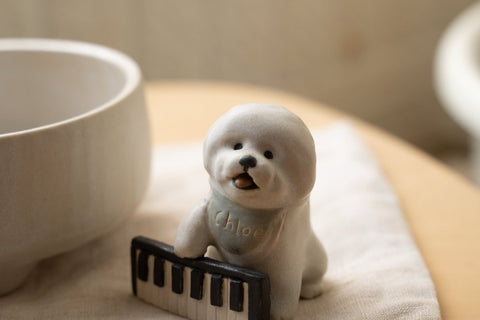 Bichon