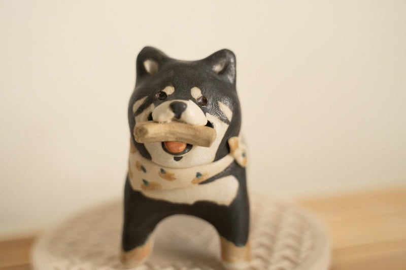 Black Shiba with stick