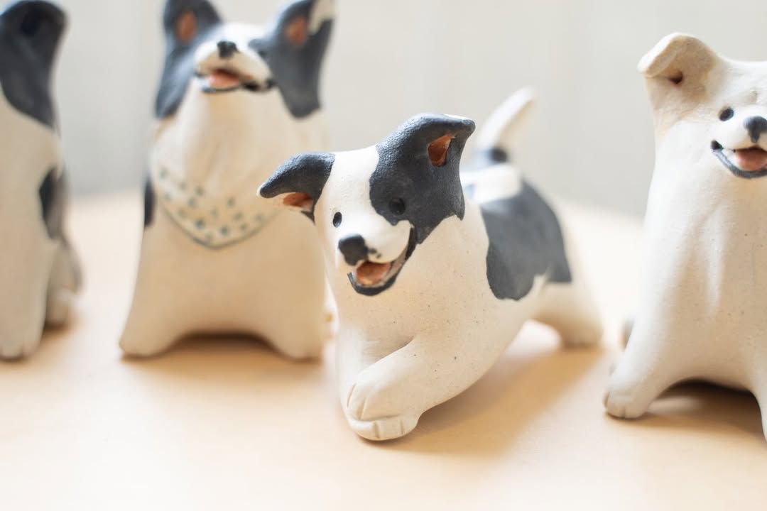 Border Collie - Pawttery