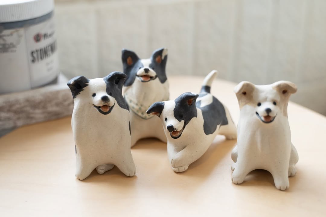 Border Collie - Pawttery