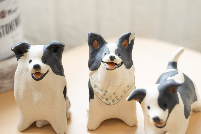 Border Collie trio