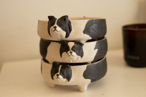 Border Collie bowl