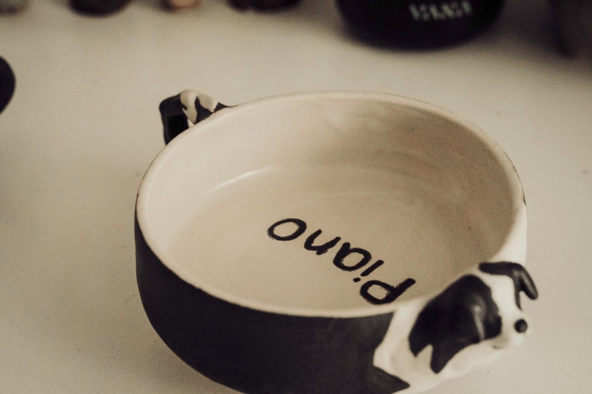 Border Collie bowl with name engraving - Pawttery