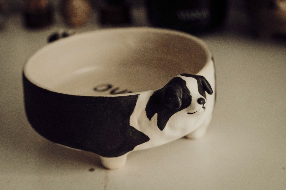 Border Collie bowl with name engraving - Pawttery