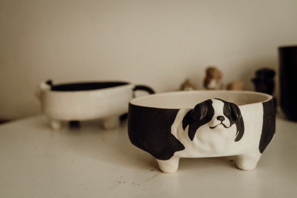 Border Collie bowl with name engraving - Pawttery