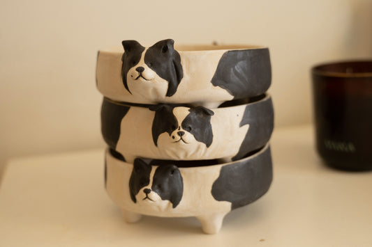 Border Collie bowl