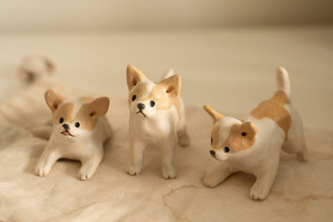 Chihuahua trio