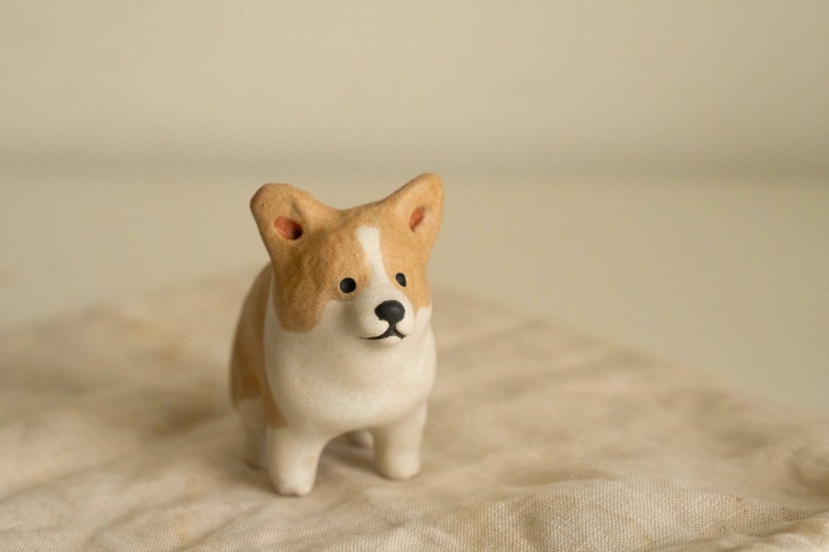 Corgi in a private moment - Pawttery