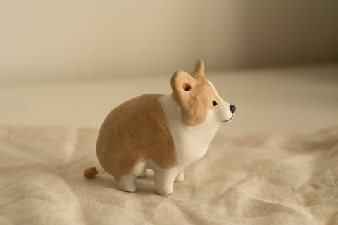 Corgi in a private moment