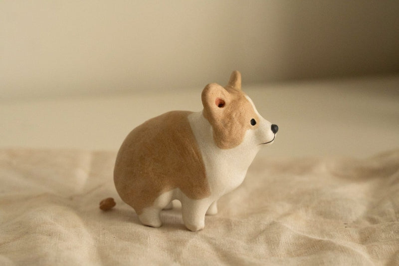 Corgi in a private moment