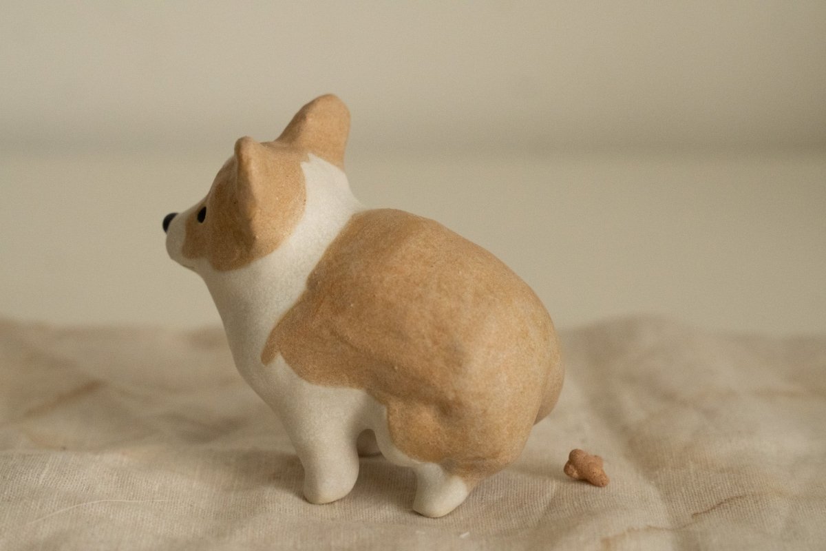 Corgi in a private moment - Pawttery