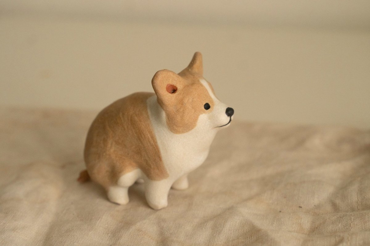 Corgi in a private moment - Pawttery