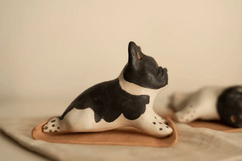 French Bulldog doing yoga