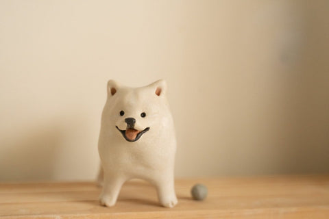 Samoyed with Tennis Ball