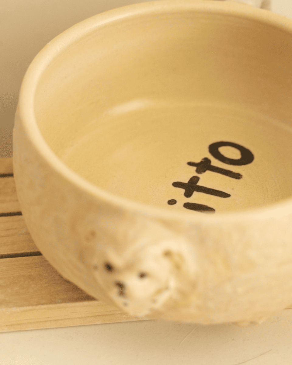 Custom Maltipoo Bowl - Pawttery