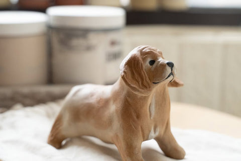 Dachshund