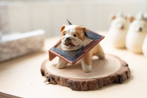English Bulldog causing trouble