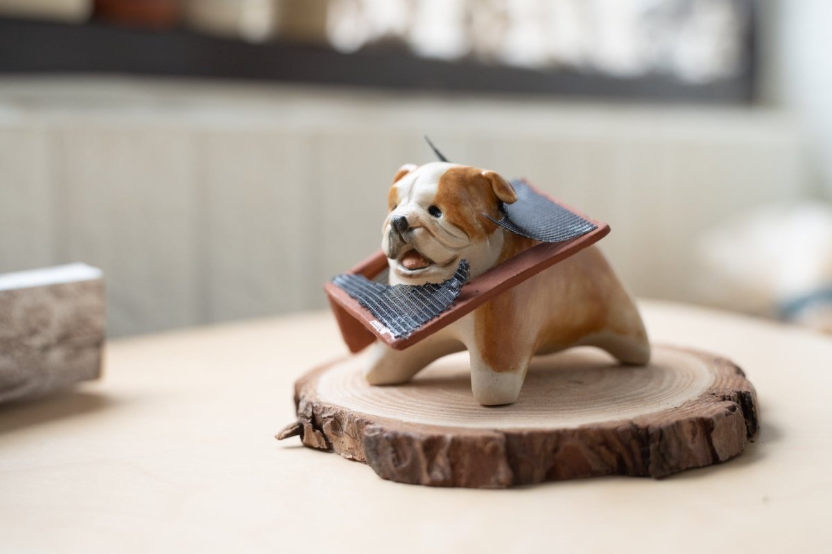 English Bulldog causing trouble - Pawttery