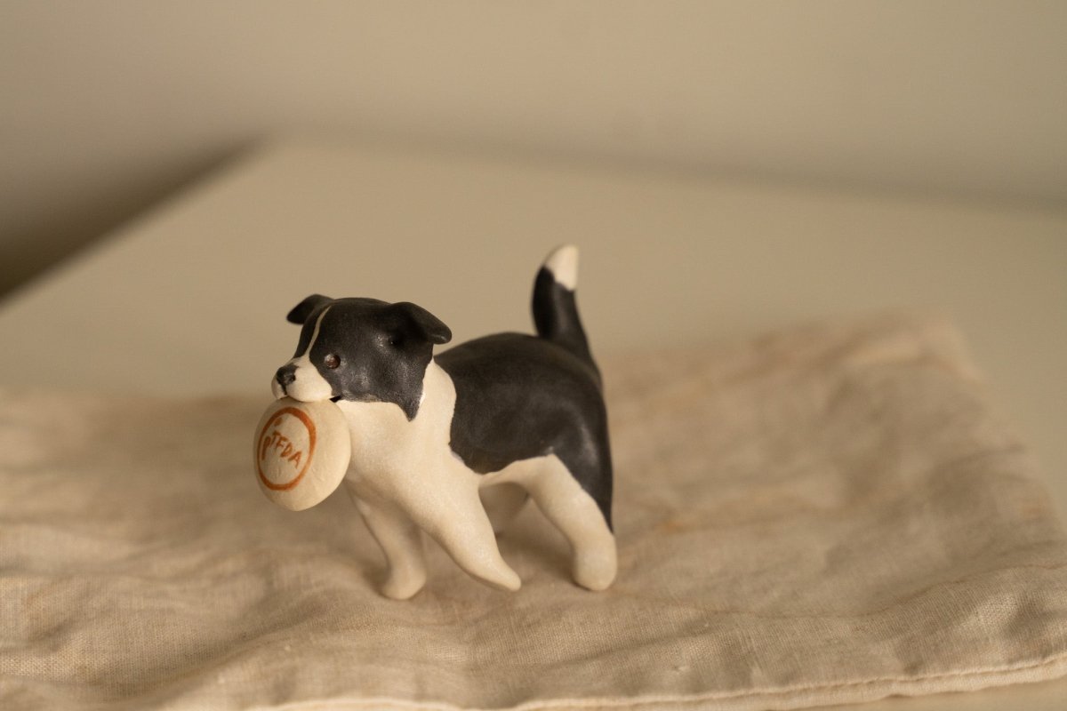 Frisbee fun Border Collie - Pawttery