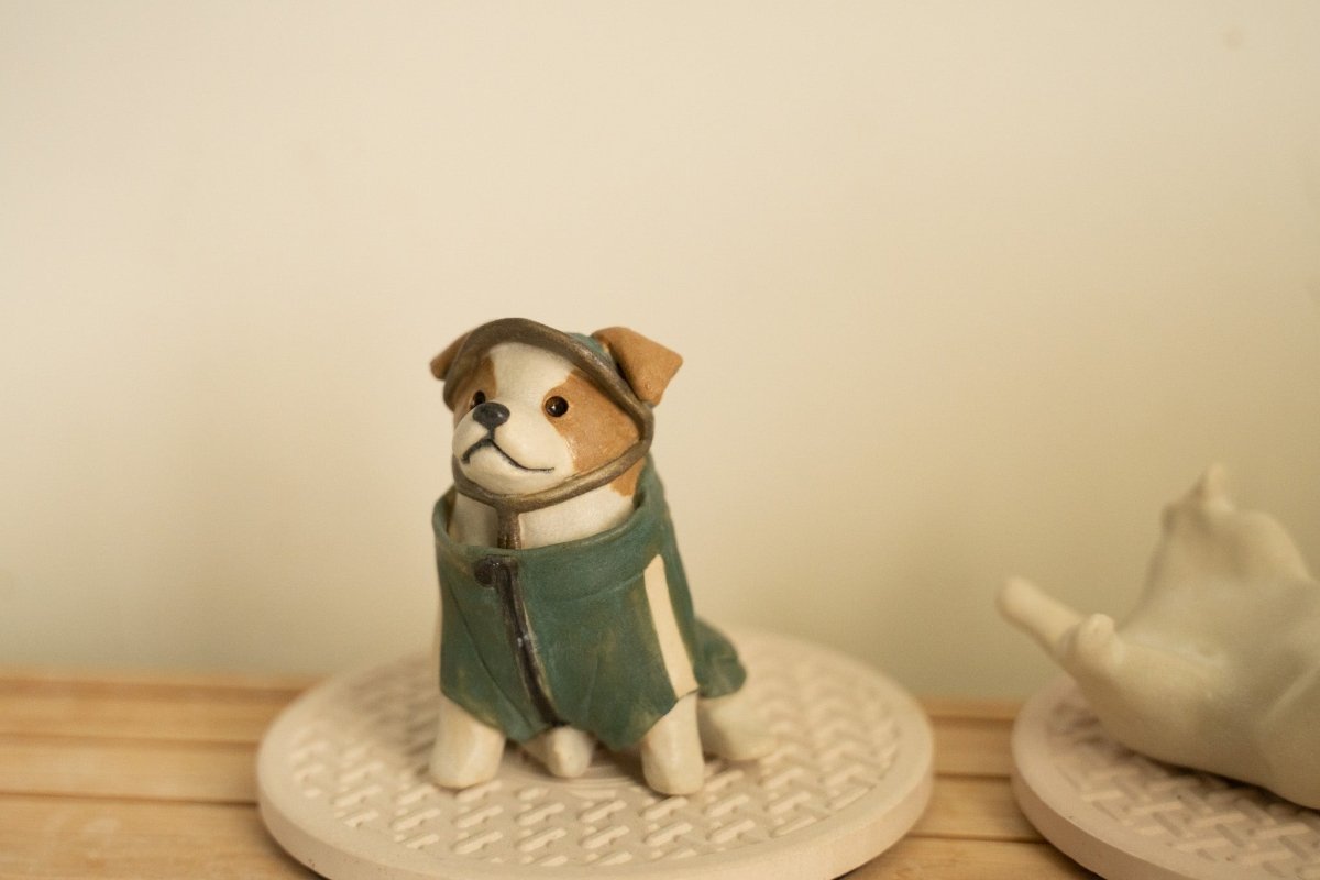 Jack Russel wearing jacket - Pawttery