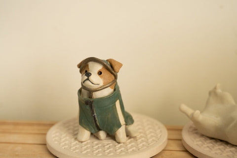 Jack Russel wearing jacket