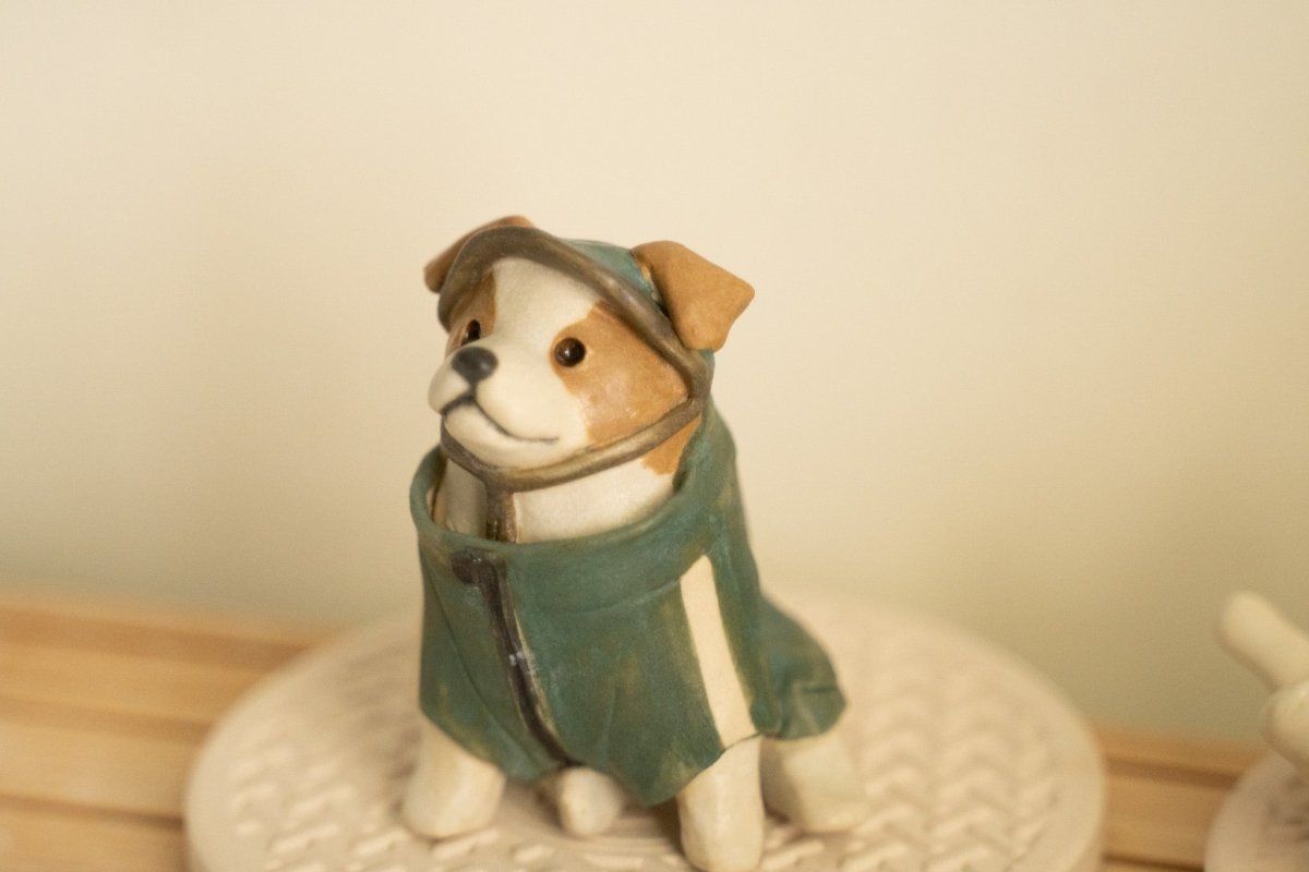 Jack Russel wearing jacket - Pawttery