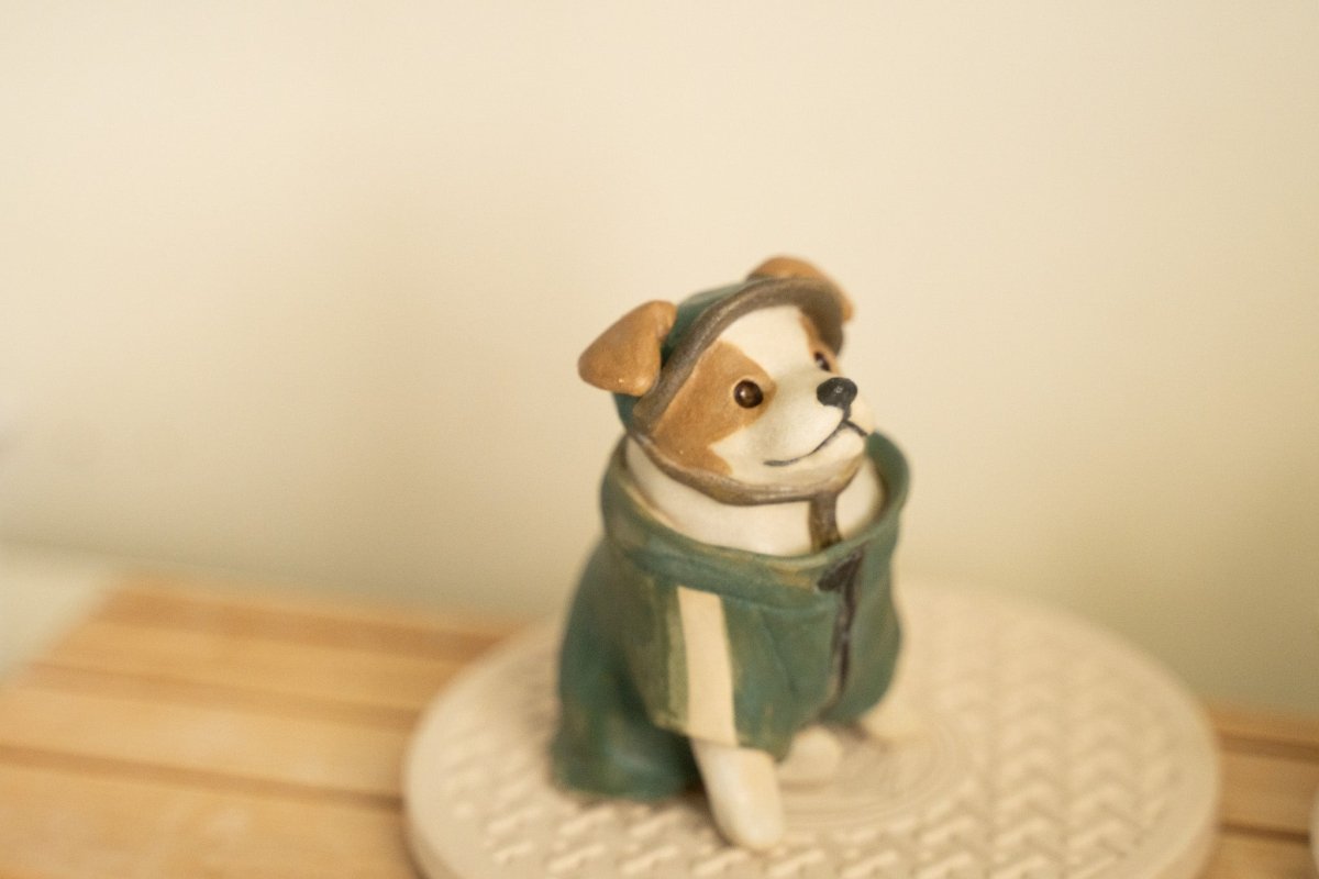 Jack Russel wearing jacket - Pawttery