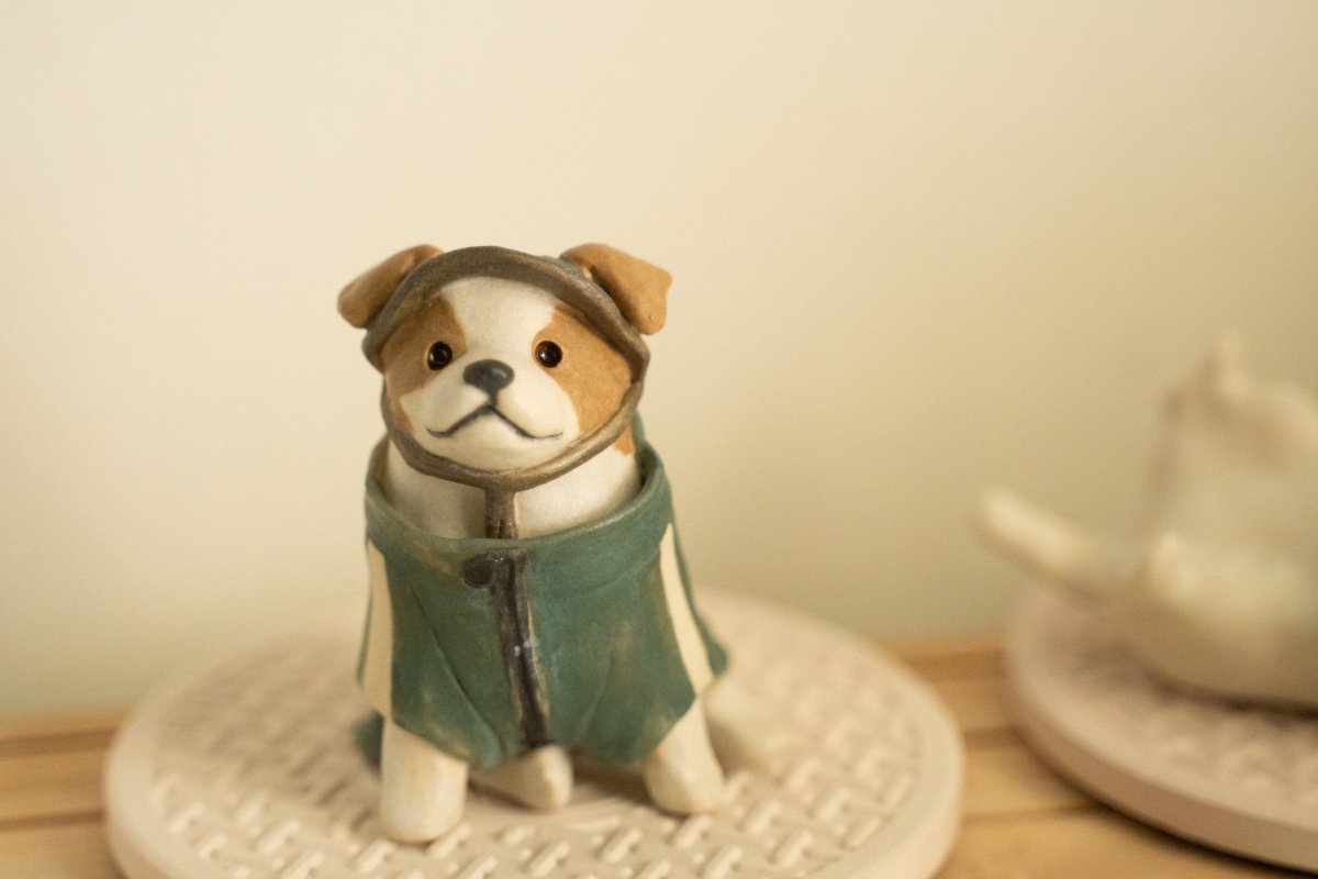 Jack Russel wearing jacket - Pawttery