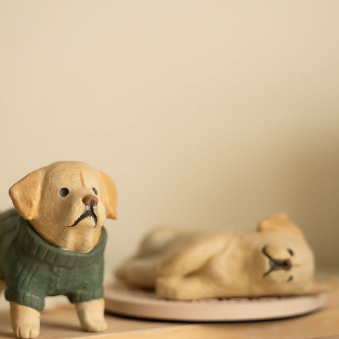 Labrador wearing green sweater - Pawttery