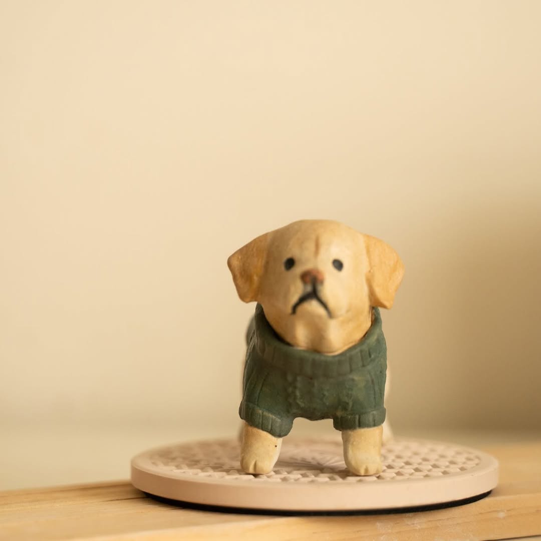 Labrador wearing green sweater - Pawttery