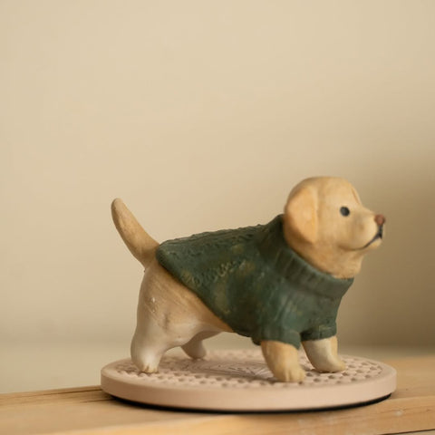 Labrador wearing green sweater