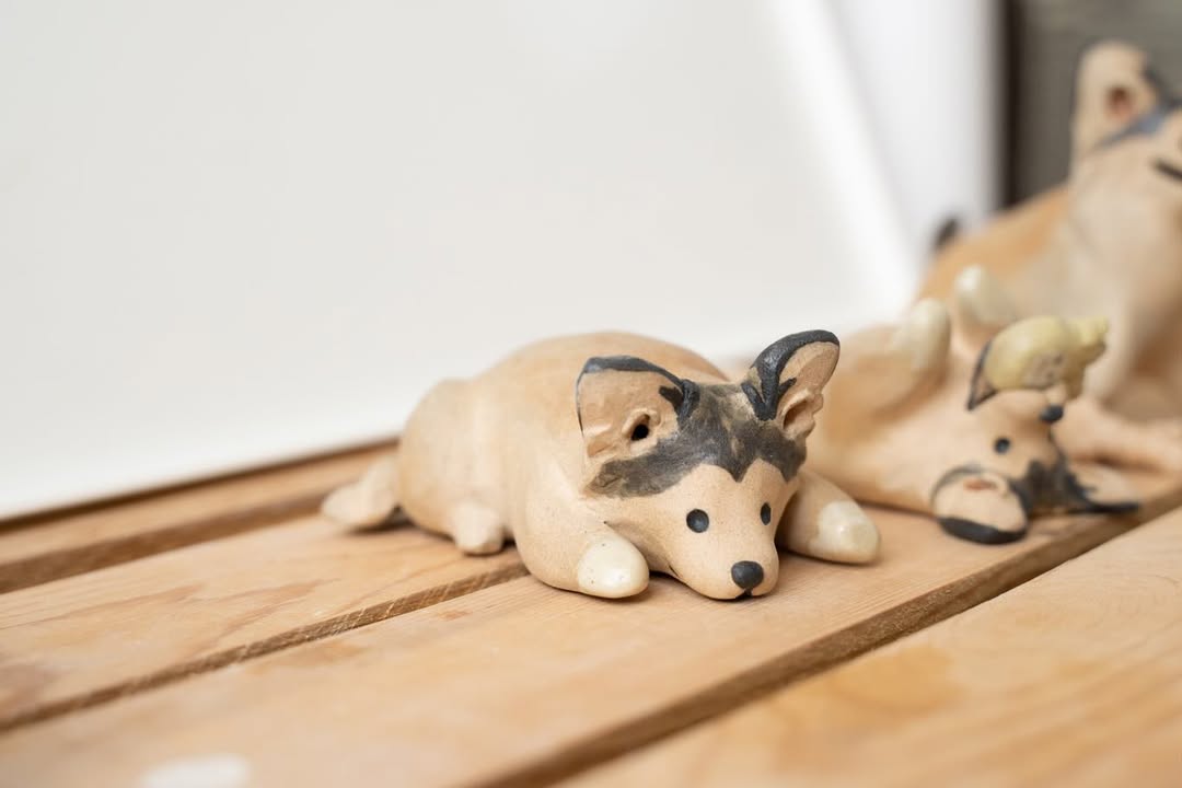 Mixed pup - Pawttery