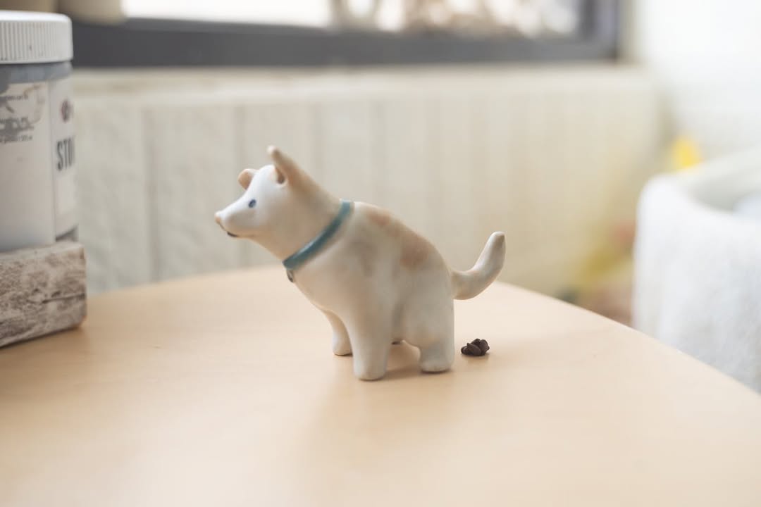 Mixed pup in a private moment - Pawttery